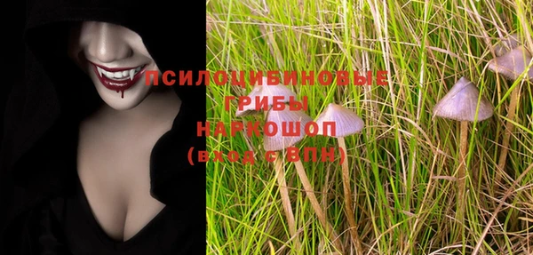 спиды Бронницы