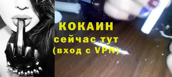 2c-b Бородино