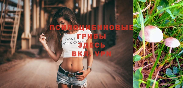 спиды Бронницы