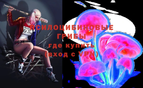 2c-b Бородино