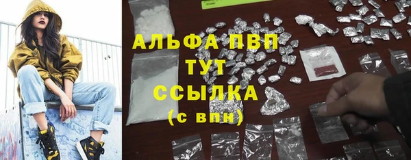 2c-b Бородино