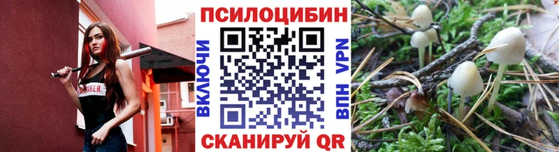 Купить где  Печоры  Псилоцибиновые грибы MAGIC MUSHROOMS 